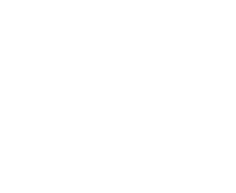 BN Media, LLC